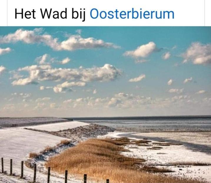 4-Persoons Vakantiehuisje Simmerwille Tzummarum 外观 照片